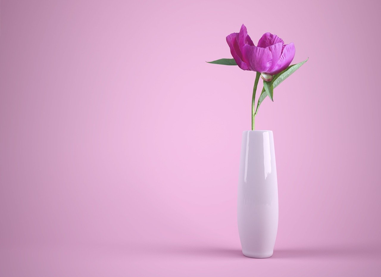 flower, vase, multicoloured-3175428.jpg